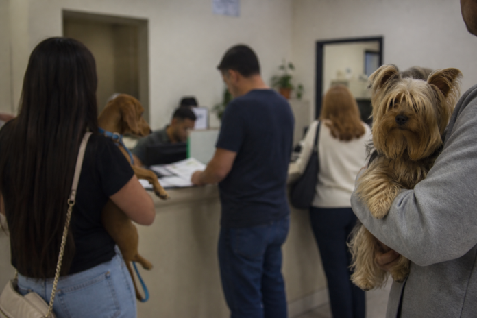 Castração de cães e gatos muda para sede do IAT em Paranaguá até sábado