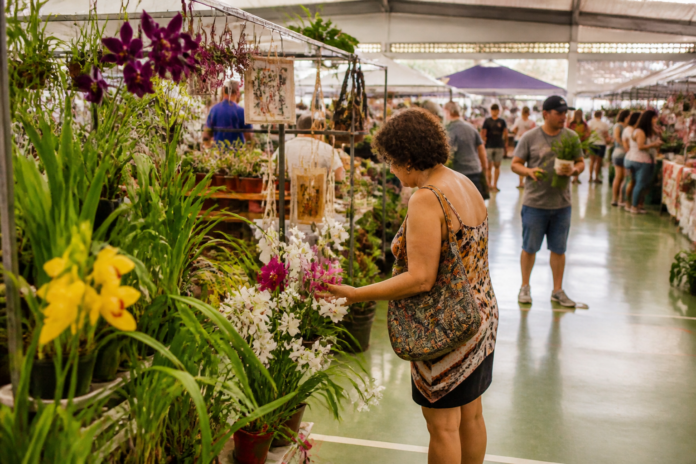 Expoflor Juca volta a Guarapuava de 16 a 20 de setembro com entrada gratuita