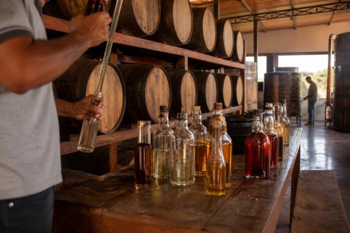 Dez madeiras brasileiras mudam o sabor da cachaça