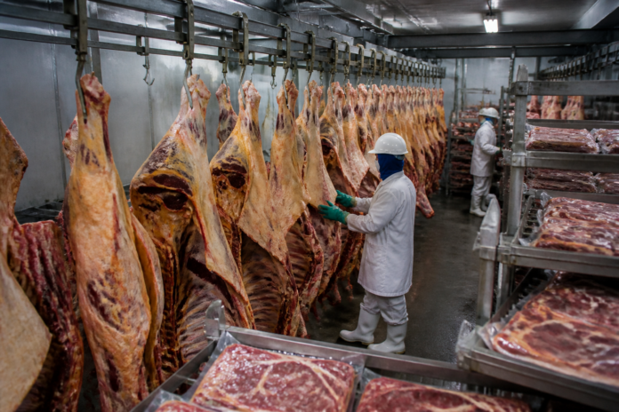 Carne bovina: China reduz compras e cria pressão nos preços brasileiros