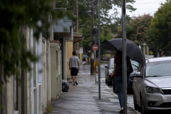 Três cães desaparecem em Londrina, tutores pedem ajuda para localizá-los