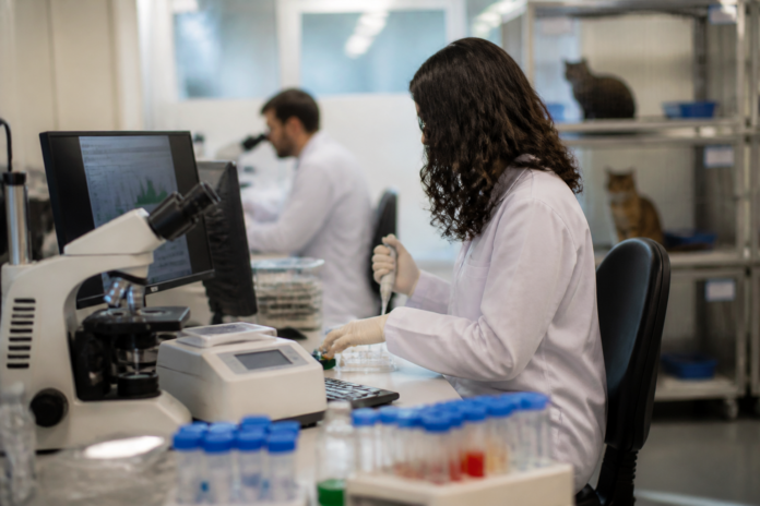 Pesquisadores buscam neutralizar proteína que causa alergia a gatos