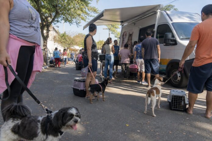 Curitiba recebe atendimento veterinário gratuito do Vet-Móvel até outubro