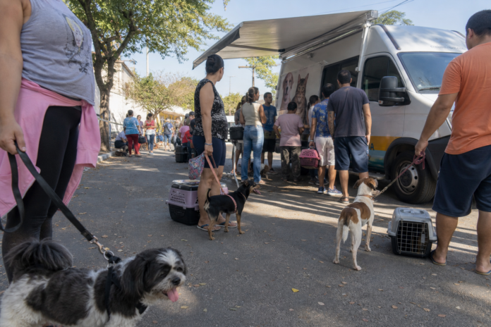 Curitiba recebe atendimento veterinário gratuito do Vet-Móvel até outubro