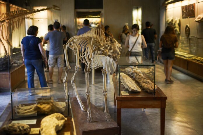 Guarapuava celebra Primavera dos Museus com atividades gratuitas de 22 a 27 de setembro