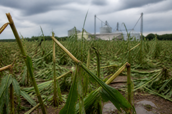 Francisco Beltrão orienta produtores a registrar danos de temporais para seguradoras