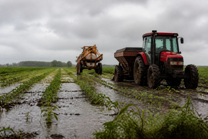 Campos Gerais enfrenta semana fria e chuvosa, agricultores devem monitorar lavouras