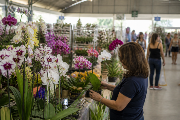 Expoflor abre nesta quarta em Guarapuava com flores, plantas e solidariedade