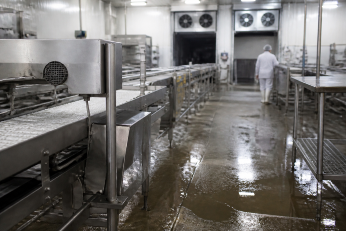 Fábrica de frangos na Argentina deixa 1.700 sem emprego e pede recuperação judicial