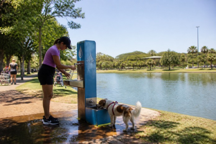 Lago Municipal ganha totem com água gelada e bebedouro para pets em Marechal Rondon