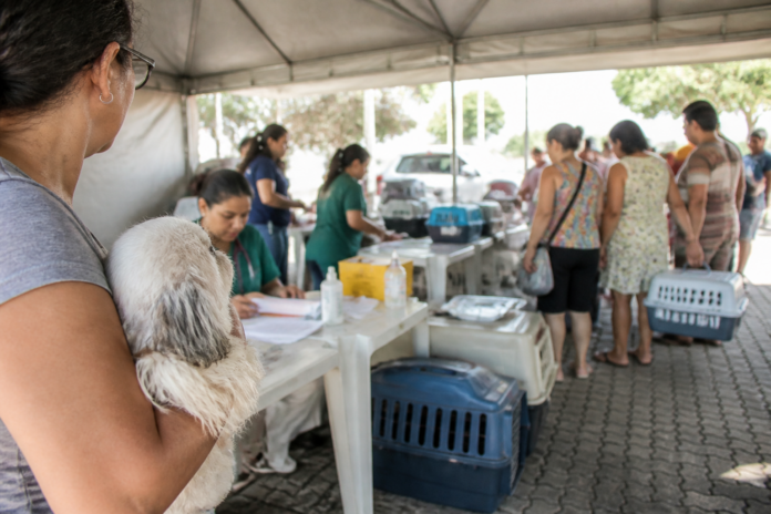 Castração de animais no Guaraituba muda de datas