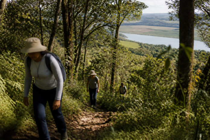 União da Vitória recebe 5ª Caminhada na Natureza pelo Caminho da Erva-Mate em outubro