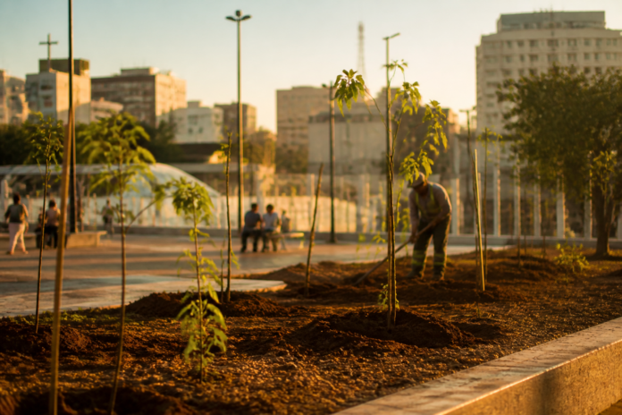 Rolândia planta 18 ipês amarelos na Praça da Vila Operária