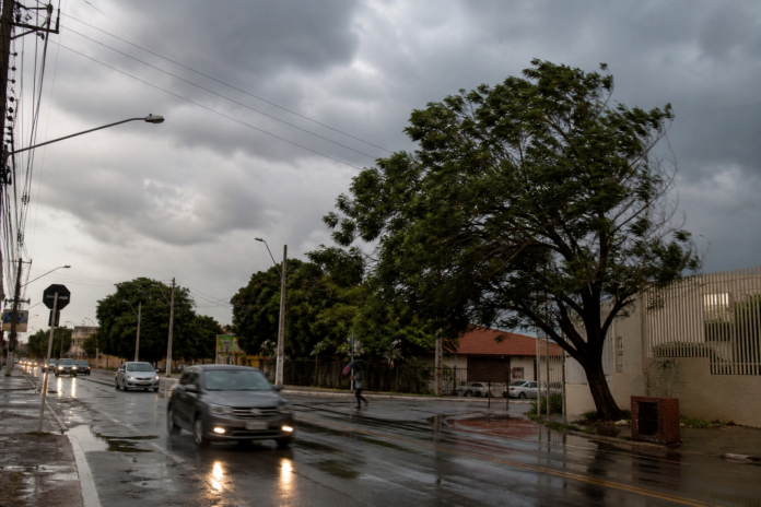 Chuva volta ao Paraná nesta sexta e segue até terça, tempestades com rajadas fortes
