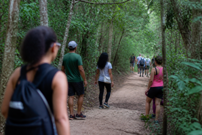 Caminhada na Natureza em Araucária oferece transporte gratuito no dia 26