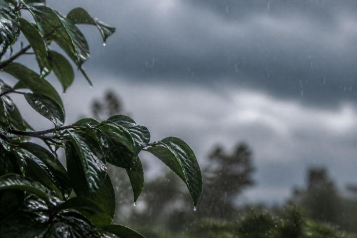 Primavera chega com chuvas acima da média e temporais no Sul, calor predomina no Brasil