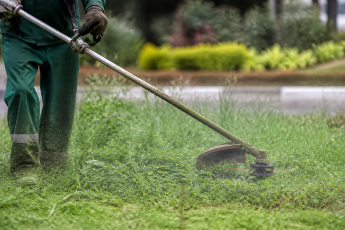 Maringá intensifica limpeza e manutenção urbana nesta quarta
