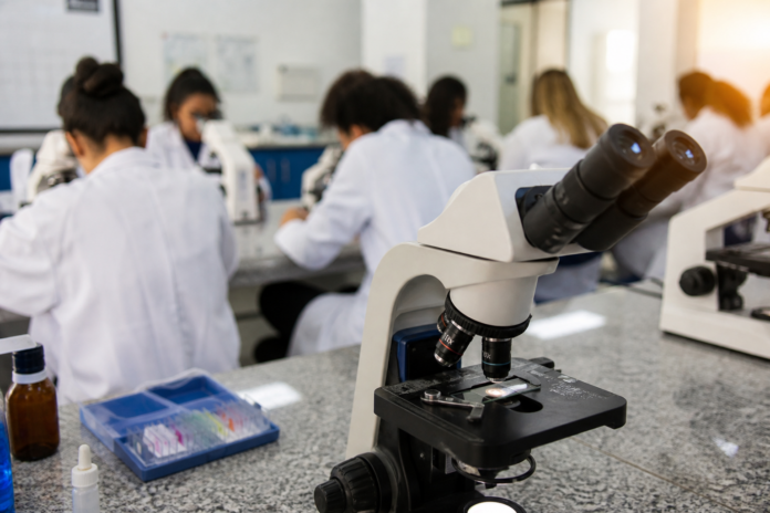 Alunos de Guaratuba usam microscópio pela primeira vez em aula de Ciências