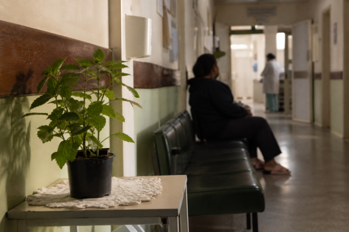 Paraná amplia saúde no interior para reduzir deslocamento de pacientes