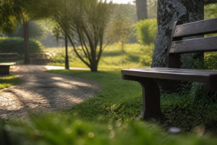 Trilha de parque com grama e árvore
