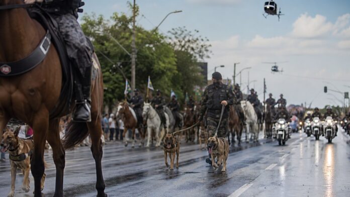 Desfile de 7 de Setembro em Curitiba: aviões, cavalos e 27 cães na apresentação