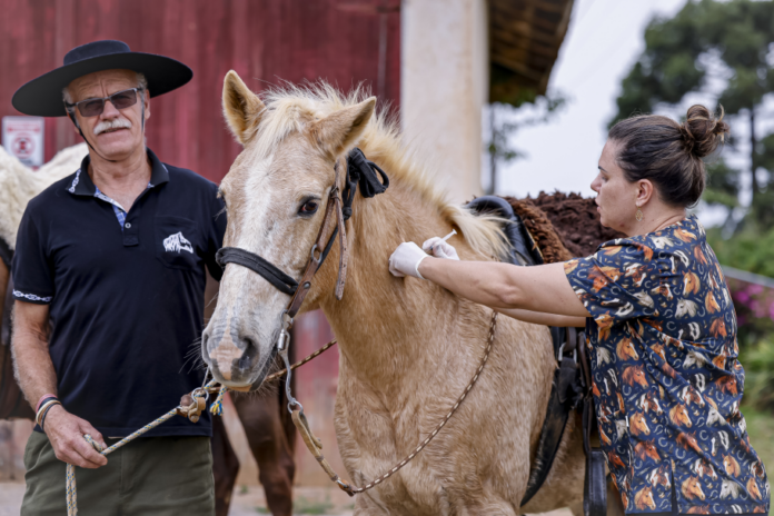 Araucária vacina cavalos e muares contra raiva de 28 a 30 de setembro