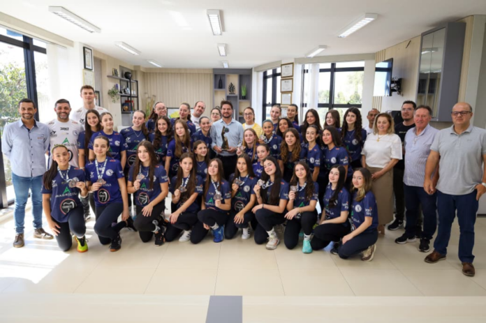 Voleibol feminino de Arapongas conquista acesso à série B do paranaense