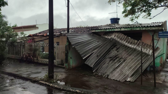 Vendaval atinge 25 bairros de Arapongas, 40 árvores caem e 11 casas perdem telhado