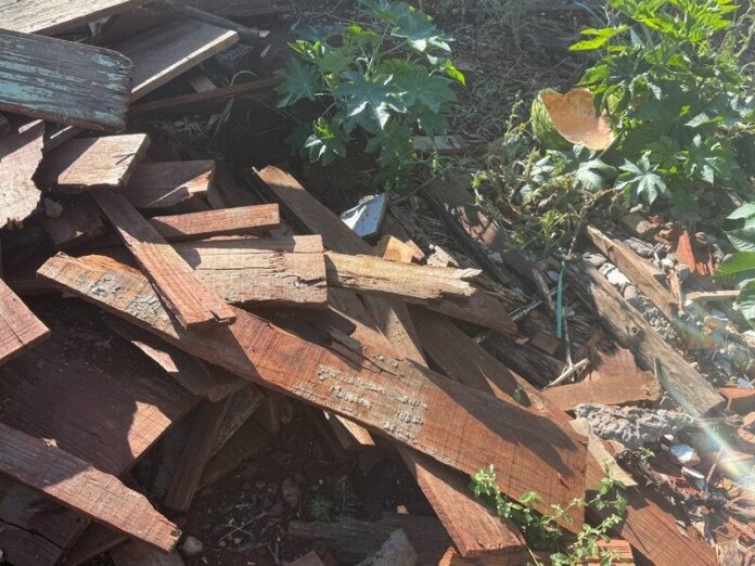 Campo Mourão intensifica fiscalização de terrenos nos bairros, proprietários podem ser multados