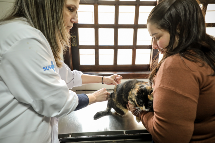 Pinhais vacina 157 animais contra raiva, nova oportunidade no sábado