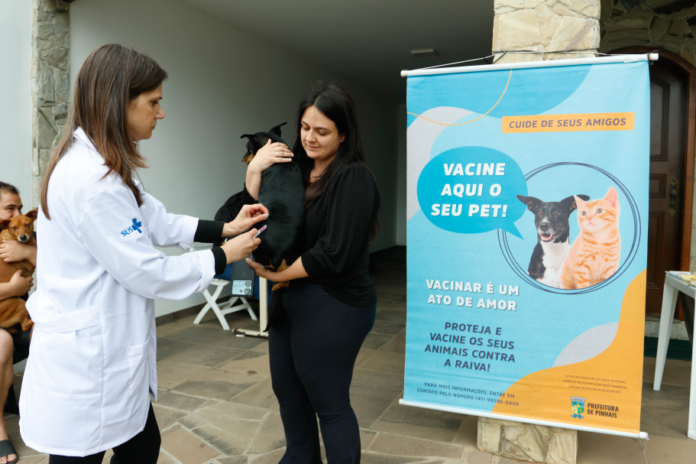 Pinhais vacina cães e gatos no dia 18 de setembro
