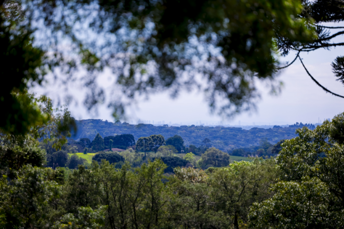 Araucária oferece ônibus gratuito para a 19ª Caminhada na Natureza no dia 26