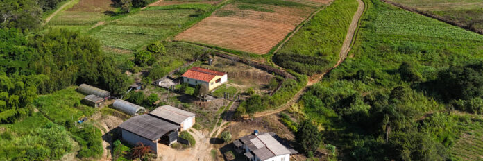 Produtores rurais do Paraná pedem prorrogação de 15 dias para declarar ITR