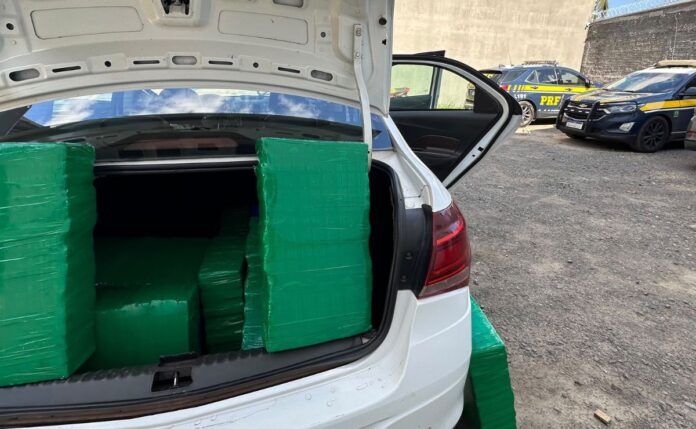 Polícia apreende 183 kg de drogas na BR-376, motorista foge para mata