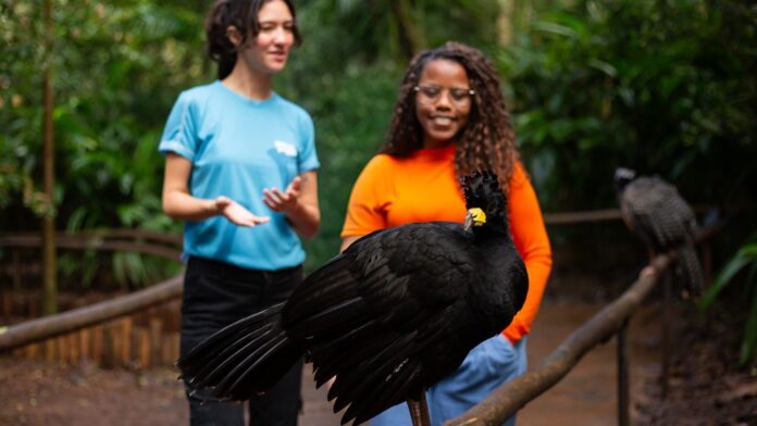 Parque das Aves abre entrada gratuita para moradores em outubro