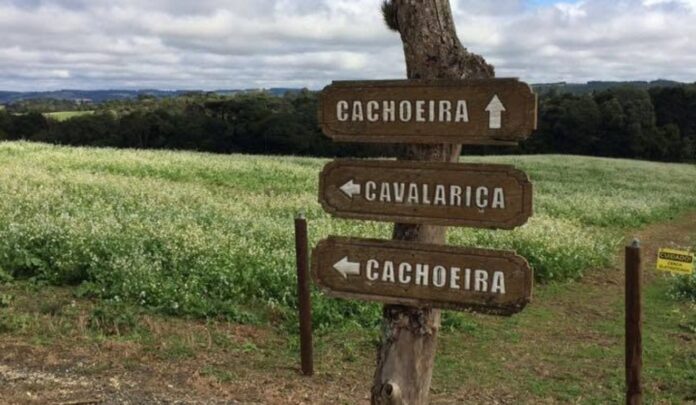 Ponta Grossa oferece oficina gratuita sobre precificação em turismo rural