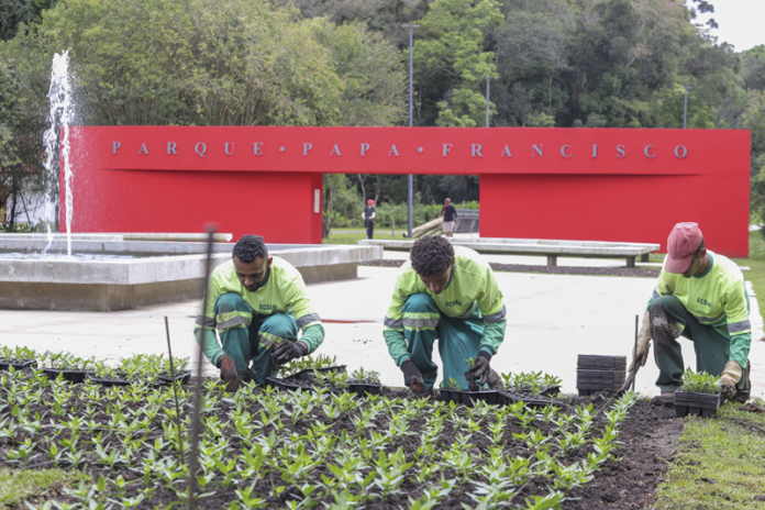 Curitiba planta 208 mil flores na primavera