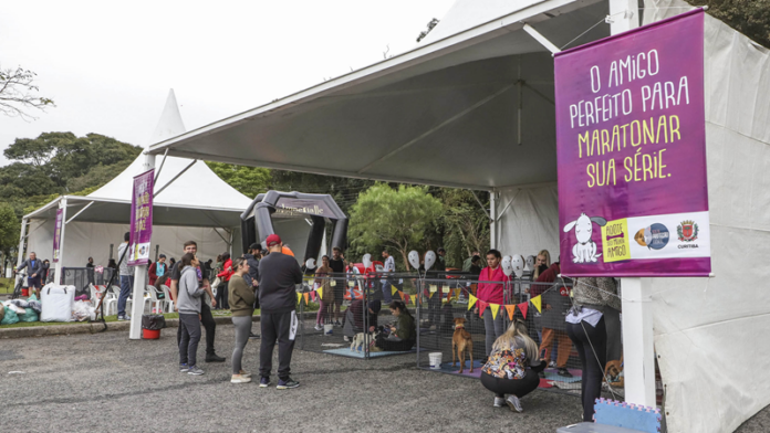 Parque Barigui recebe feira de adoção com 50 cães no sábado