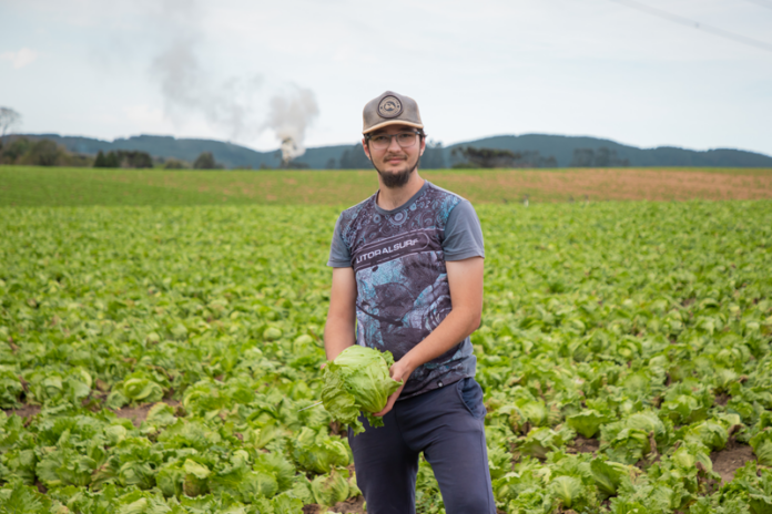 Agricultores da RMC triplicam produção com canais de venda abertos em Curitiba