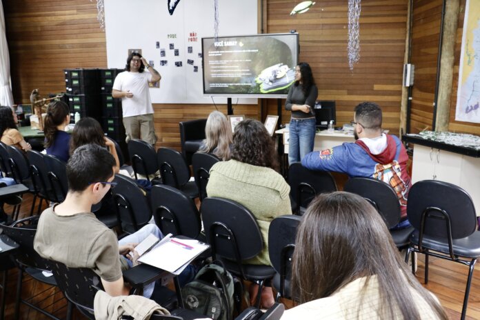 Sagui não é pet: Curitiba explica origem dos pequenos macacos na cidade