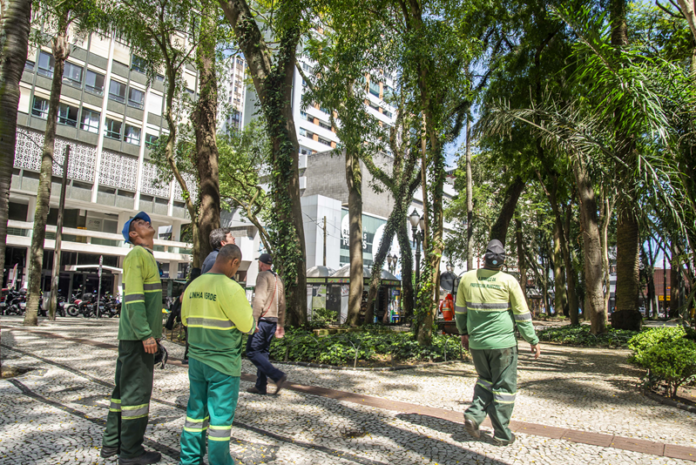 Praça Osório perde quatro árvores após queda de galho, vistoria termina quarta-feira