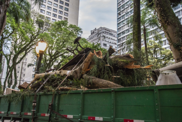 Praça Osório fecha para podas de árvores após queda de galho, reabre após revitalização