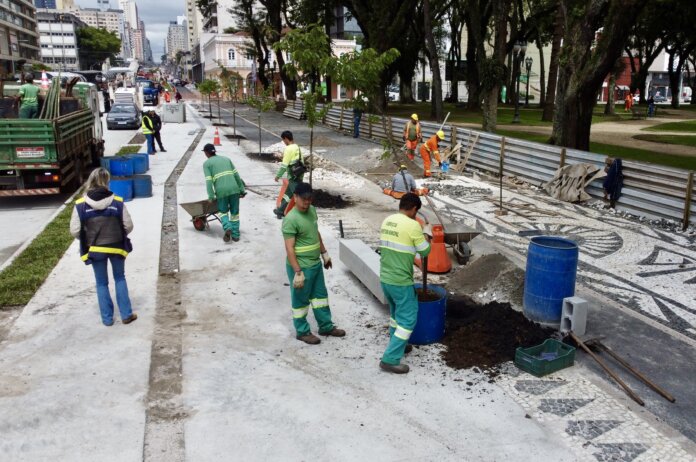 Cerejeiras-do-japão ganham espaço em obras na Avenida Sete de Setembro em Curitiba