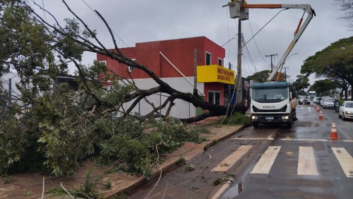 Temporal derruba árvores e destelhadas casas em Campo Mourão, defesa civil atende famílias