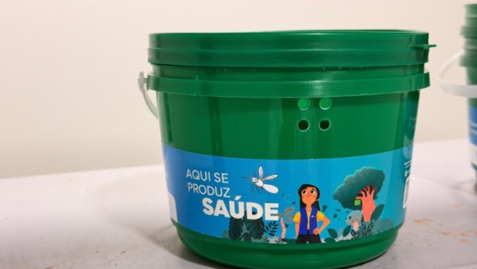 Cascavel começa a liberar mosquitos Wolbitos para combater dengue em 17 bairros