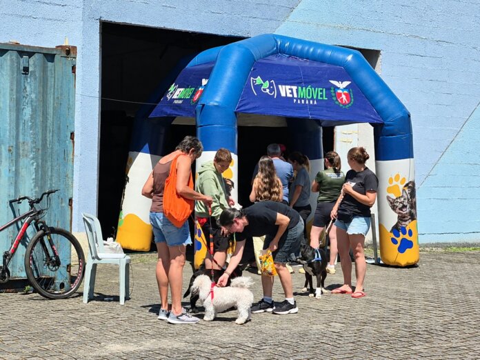 Guaratuba realiza 950 atendimentos gratuitos para cães e gatos no VET Móvel