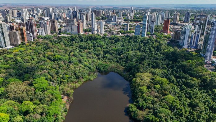 Maringá cria metodologia para incluir custo ambiental em compras públicas