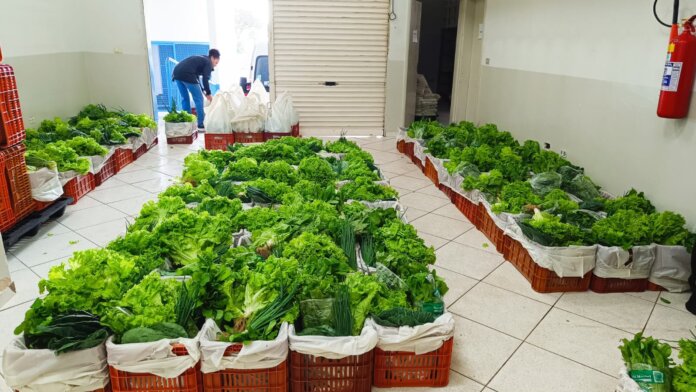 Banco de Alimentos distribui 4 mil quilos a 302 famílias em Umuarama