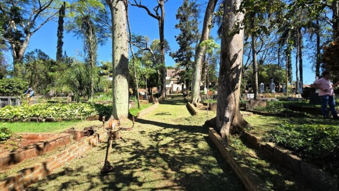 Rolândia limpa cemitério após chuvas e retira árvores caídas