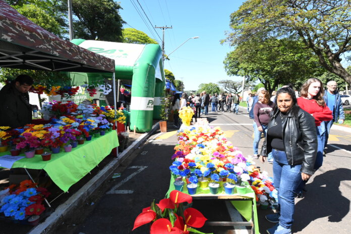 Procon pesquisa preços de flores e velas para Dia de Finados em Umuarama